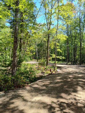 A forested area with a dirt path leading through it.