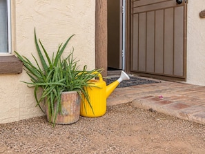 A potted plant and a yellow watering can outside a building with a brown door. - Tranquil Southwest Apt with Traditional Courtyard (Mesa)