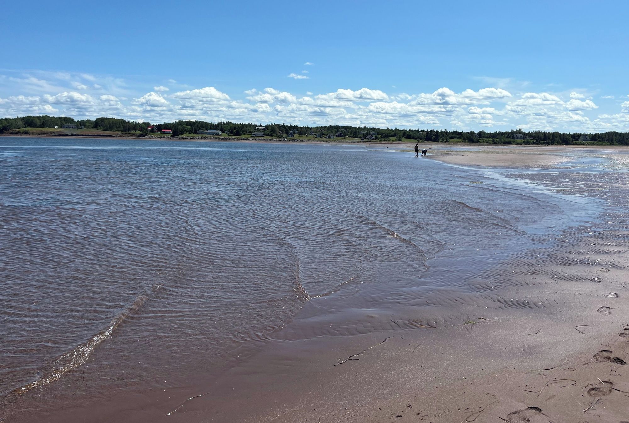 Ein Strand mit blauem Himmel, ruhigem Wasser und einer fernen Küste mit Häusern.