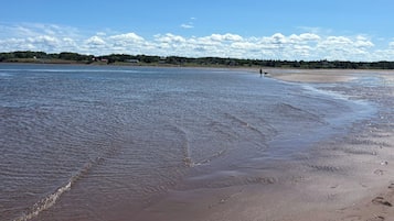 Ein Strand mit blauem Himmel, ruhigem Wasser und einer fernen Küste mit Häusern.