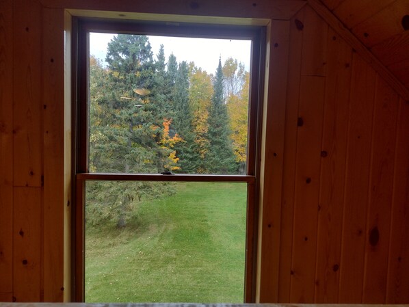 A window with a view of a forest and a grassy field.