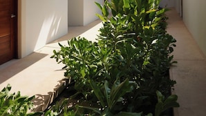 A building with a white facade, a wooden balcony with a thatched roof, and a narrow pathway lined with green plants. - Pacific Dreams Hotel Suites  (Agua Blanca, Cozoaltepec)