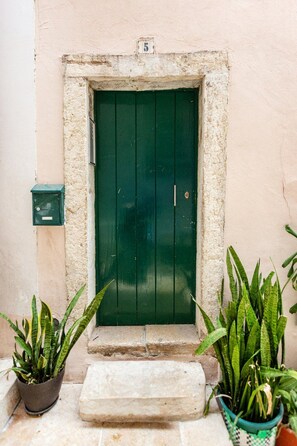 A green door with a small step leading up to it, flanked by potted plants. - Alfama 2BR near Sé & Terreiro do Paço (Lisbon)