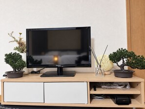 Een flatscreen televisie op een houten tv-meubel, met twee potplanten en een glazen pot met rietverspreiders.
