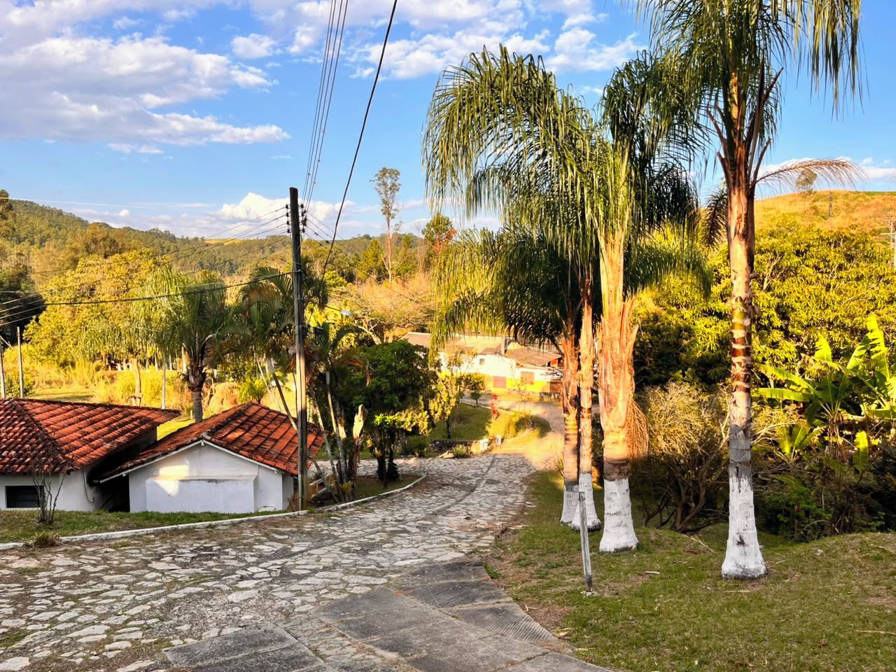 Une rue de campagne bordée de maisons, de palmiers et offrant un paysage vallonné.