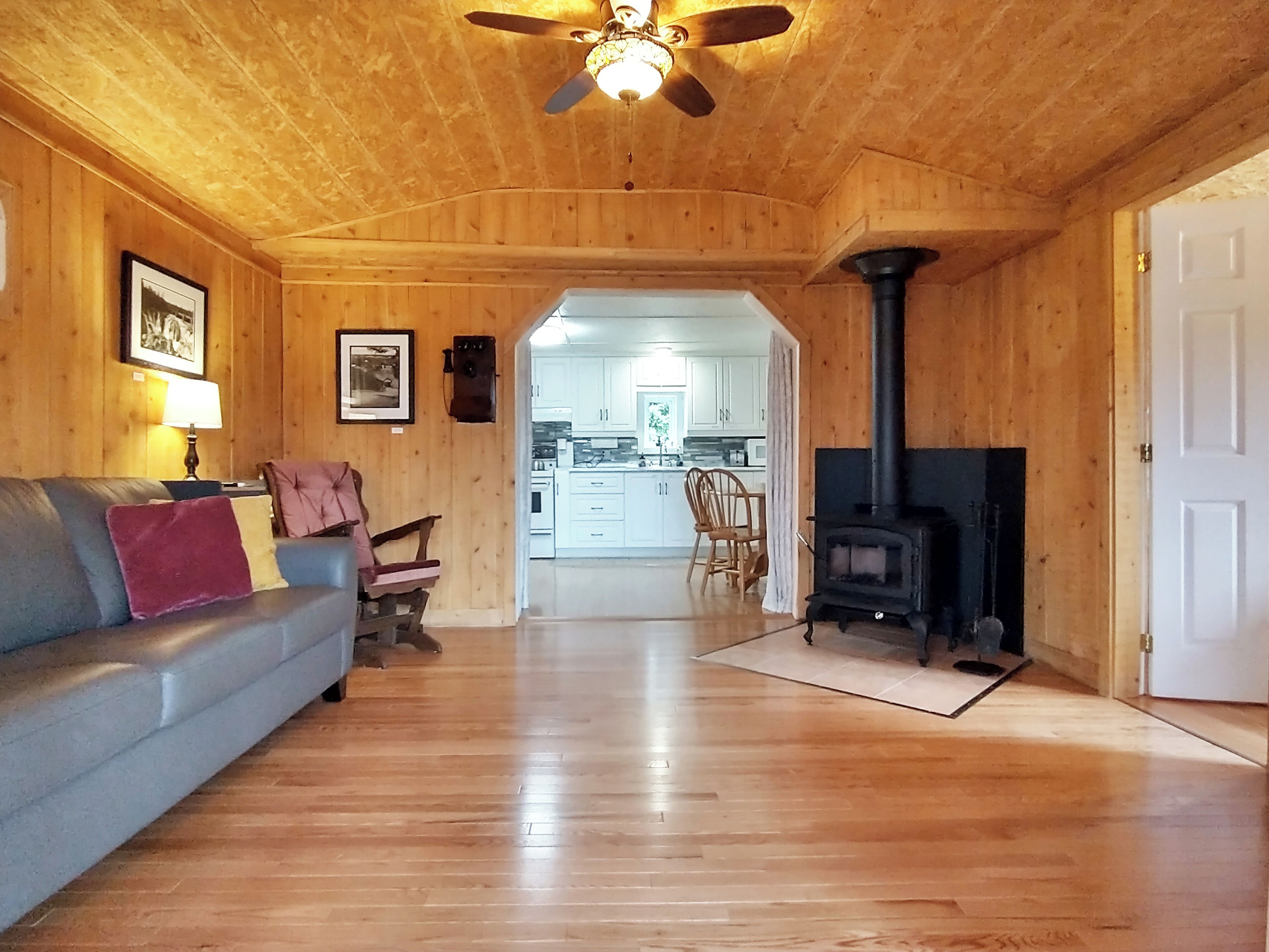 Smart TV, fireplace, DVD player, books