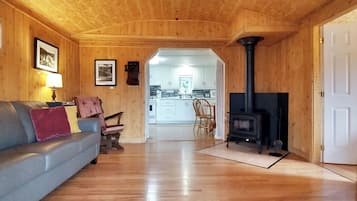 Smart TV, fireplace, DVD player, books