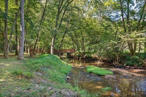 Ein bewaldetes Gebiet mit einem kleinen Bach und einer Holzbrücke.