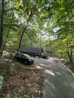A forested area with a paved driveway leading to a building with a sloped roof. -  Blairsville - cozy creek side cabin. Open for leaf season! Near Brasstown Bald. (Blairsville)
