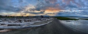A road leading through a natural landscape with fallen logs and water bodies. - Juniper Beach Cabin on Camano Island (Camano Island)