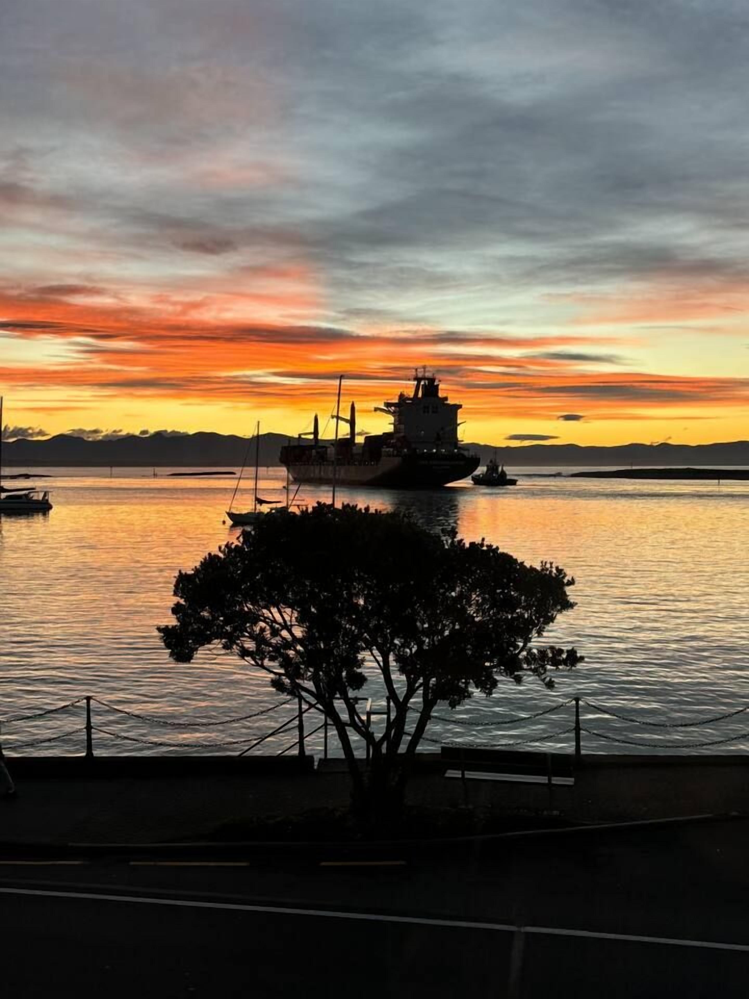 Een zonsondergang boven een wateroppervlak, met een schip en een boom op de voorgrond.