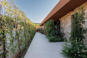 Un sendero bordeado por abundante vegetación y muros de piedra, que conduce a un edificio de diseño moderno.