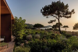A wooden deck with a bench, overlooking a garden with various plants and a large tree. - Luxury boutique hotel with ocean views and a beach within walking distance (Pietrosella)