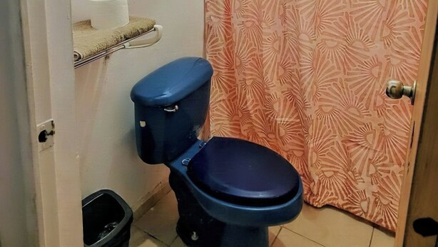Une salle de bain avec des toilettes, un rouleau de papier toilette, une poubelle noire et un rideau de douche à motifs floraux.