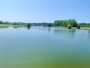 A calm lake with a clear sky, surrounded by greenery and buildings in the distance. - Reel Retreat near MSU 2 BED (Starkville)
