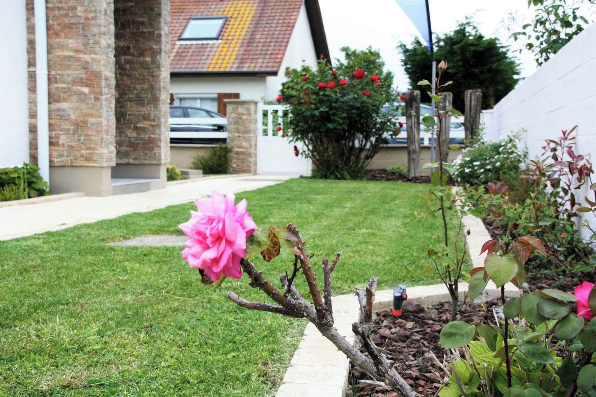 Een tuin met gazon, een roze bloem en een huis met bakstenen muren en een pannendak.