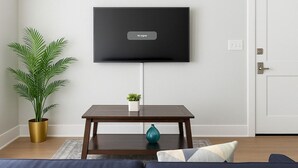 En stue med et fladskærms-tv på væggen, et mørkt træbord, en potteplante og en sofa.