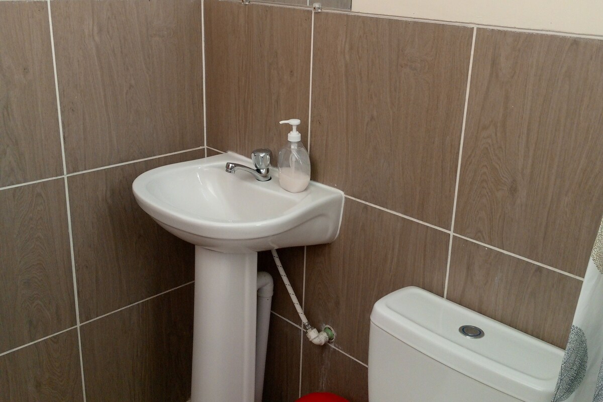 Ducha, toallas, jabón, papel higiénico