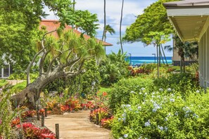 Un jardín tropical con un sendero, palmeras y un edificio de techo rojo.