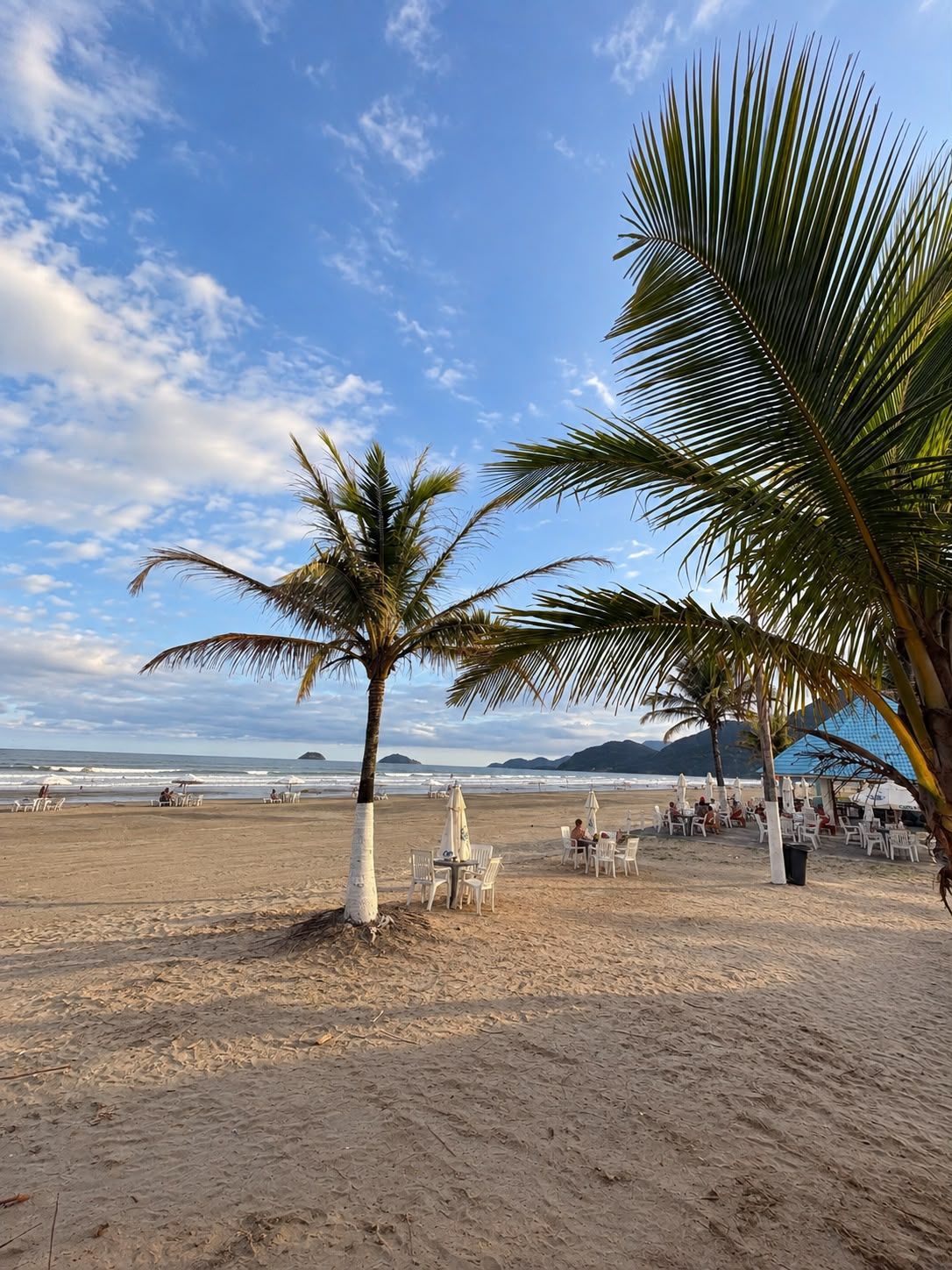 A beach with palm trees, white chairs, and tables under a clear sky.
