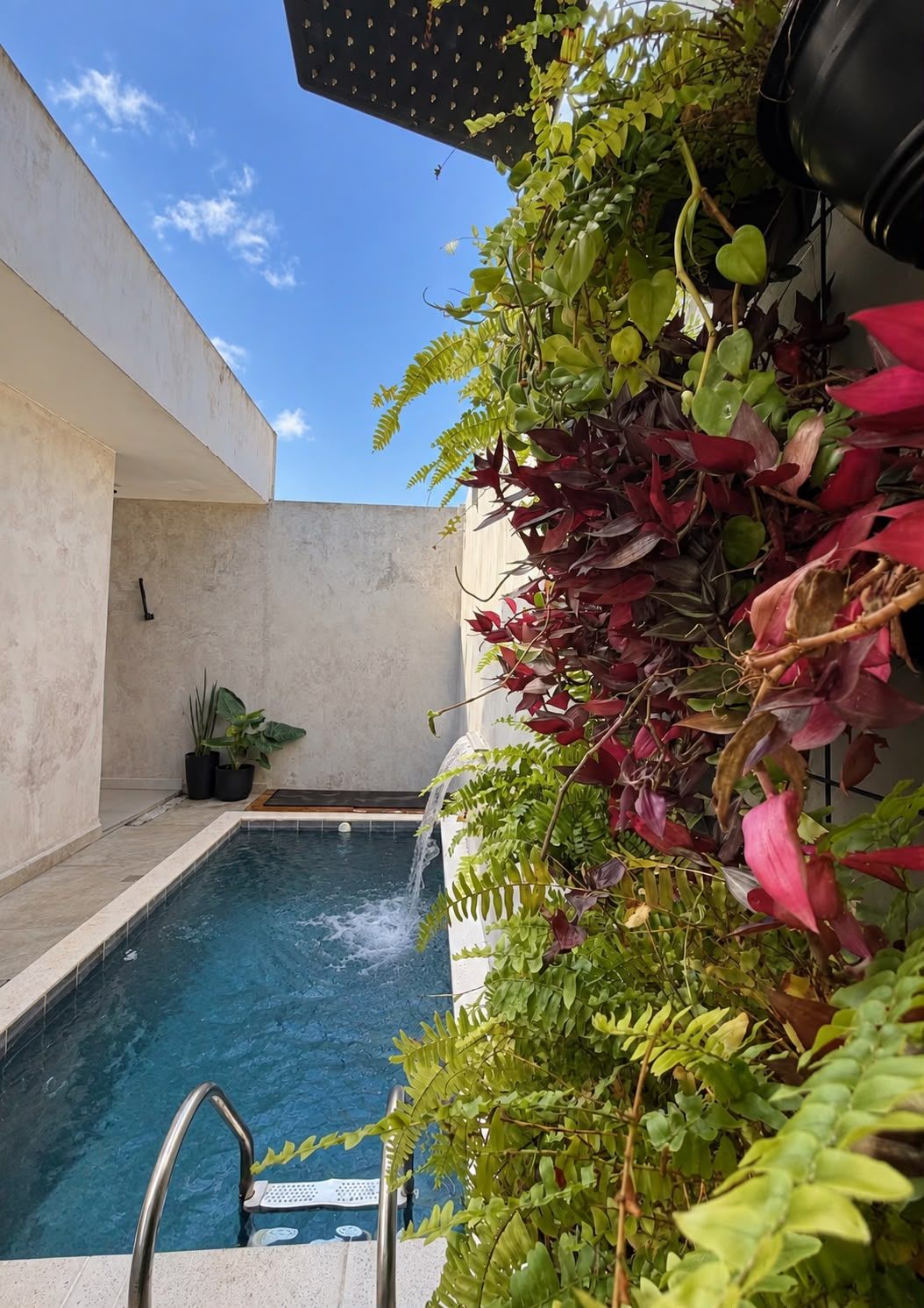 Une piscine équipée d’un escalier en métal, entourée de différentes plantes et agrémentée d’un élément décoratif aquatique.