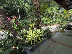 A concrete planter with various green plants and a tree trunk.