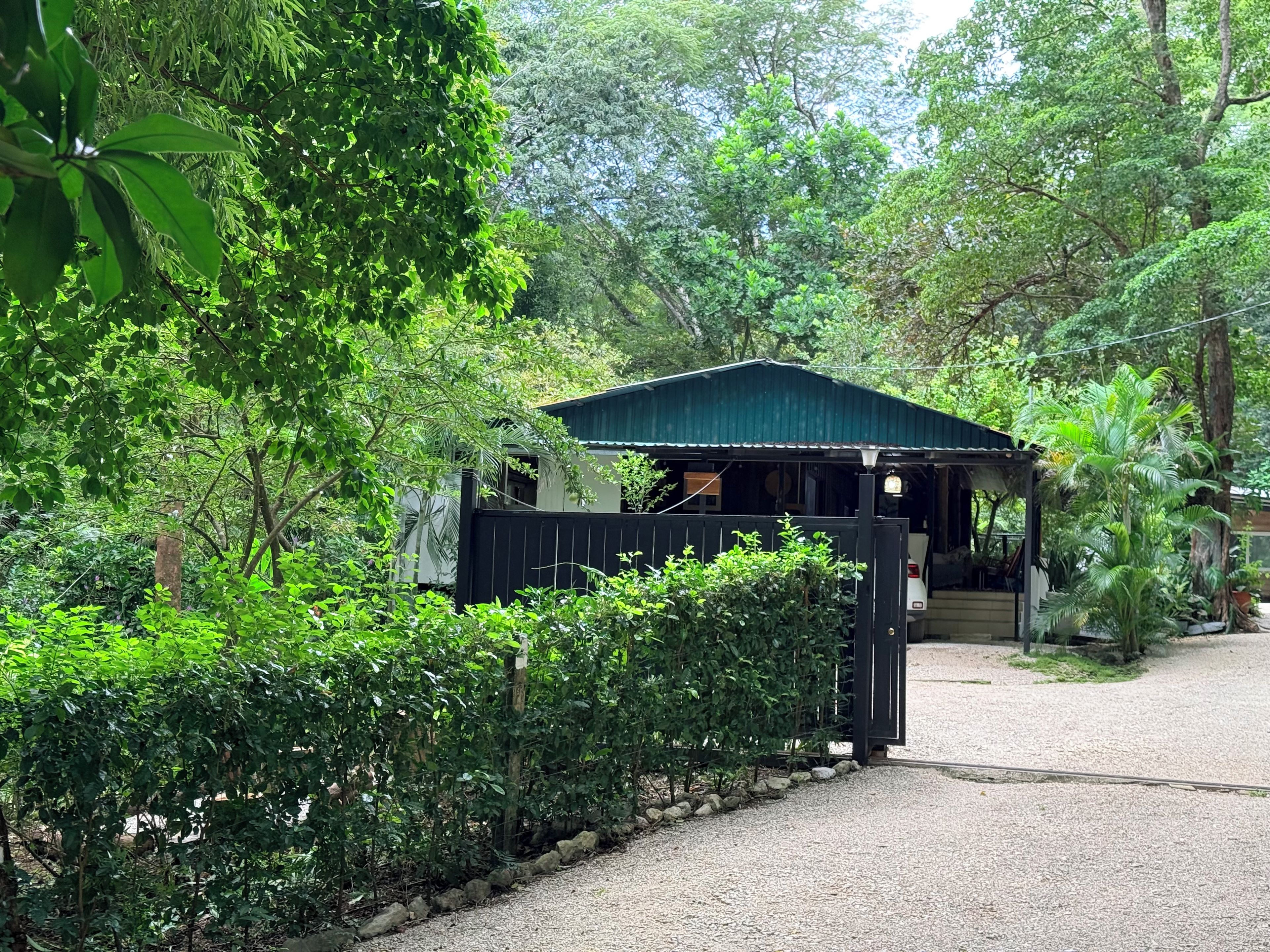 A secluded cabin with a gravel driveway, surrounded by dense greenery and trees.