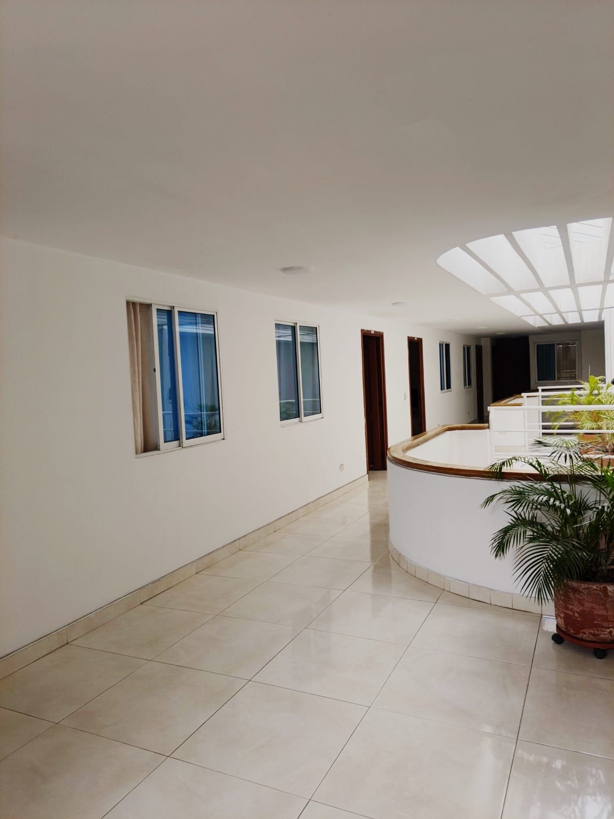 Un interior espacioso con una pared blanca curva, ventanas amplias y una planta en maceta en el centro.