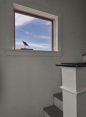 Una habitación con ventana que da a un cielo despejado, pared blanca y una escalera blanca con parte superior negra.