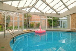 Uma piscina interior com paredes de vidro transparente, um boi de flamingo cor-de-rosa e uma escada de metal.