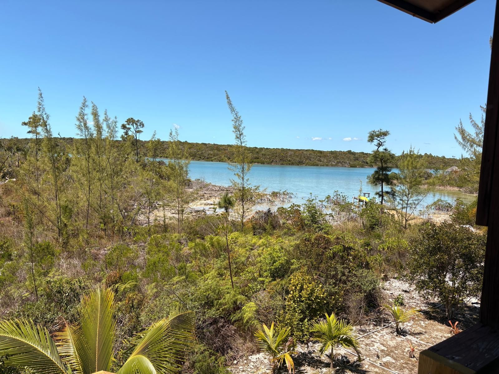 Vista de uma praia com céu claro, cercada por vegetação densa e um corpo d'água.