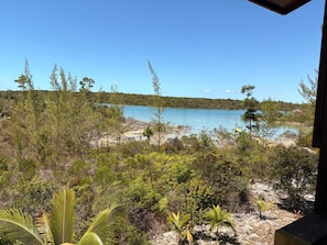 A view of a beach with a clear sky, surrounded by dense vegetation and a body of water.