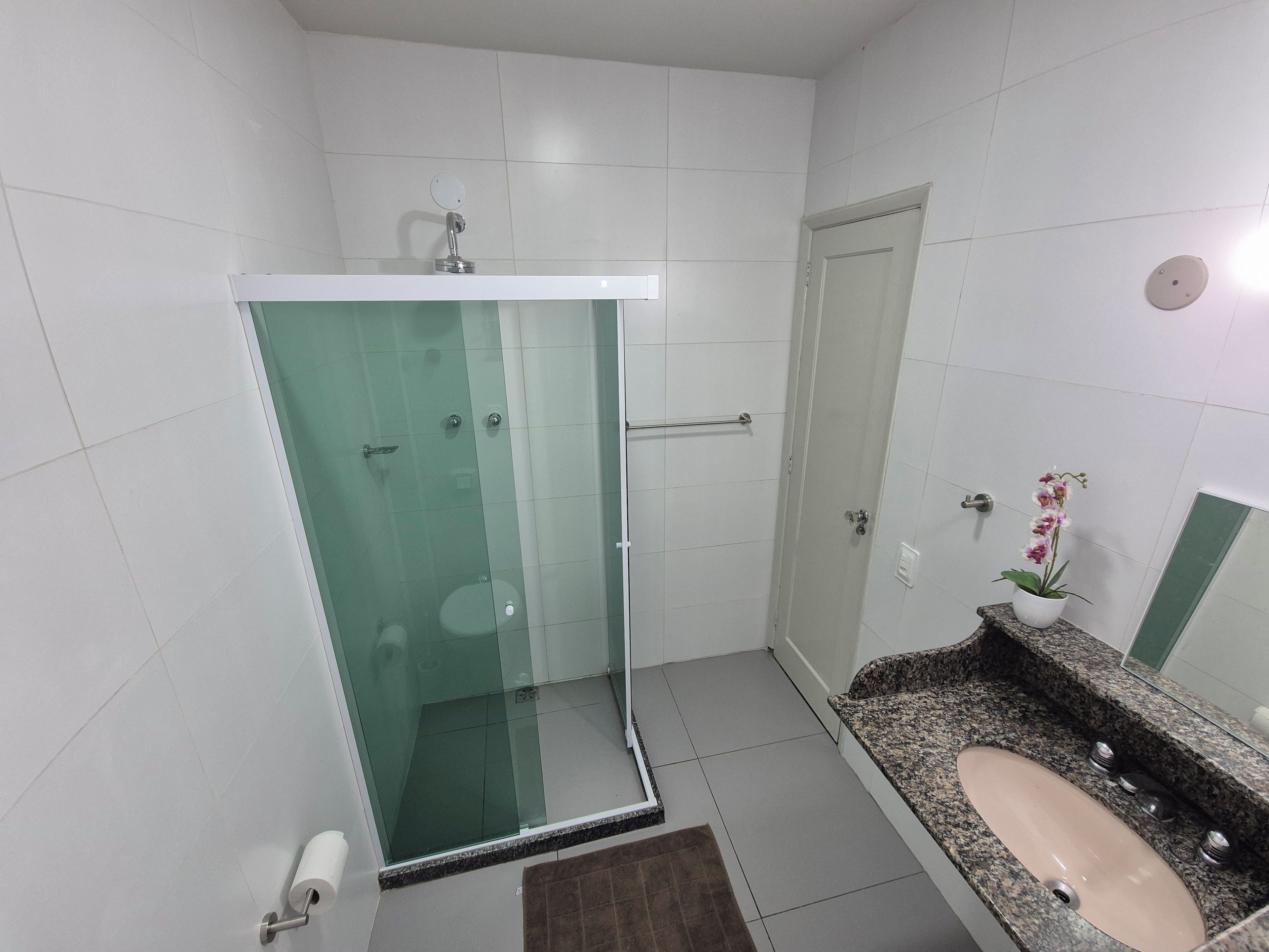 A bathroom with a glass-enclosed shower, a sink with a granite countertop, and a potted orchid.