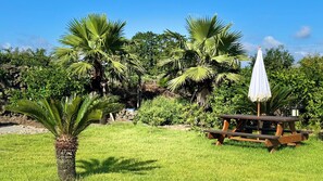 Área gramada com mesa de piquenique de madeira e guarda-sol branco, cercada por palmeiras e vegetação densa.