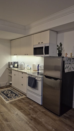A modern kitchen with white cabinets, stainless steel appliances, and a patterned rug.