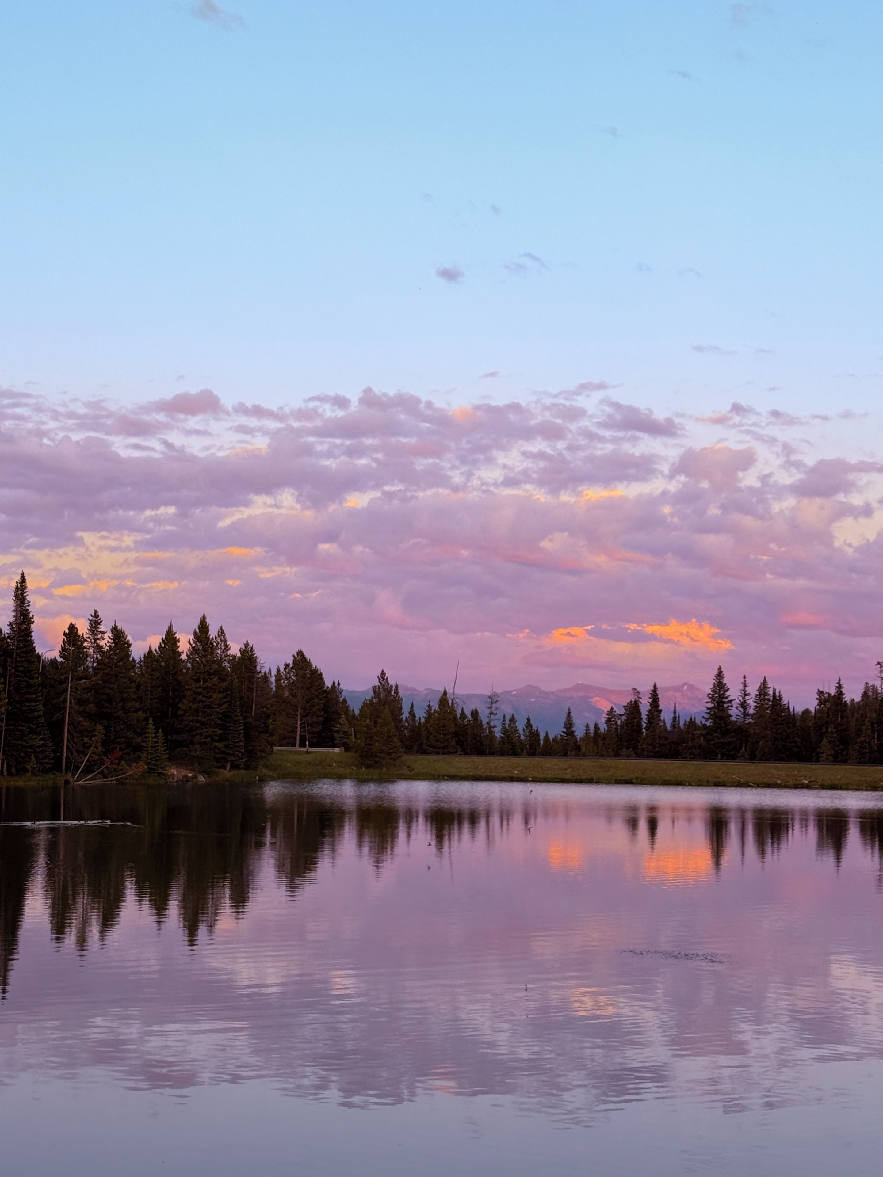 A calm lake with a reflection of trees and a mountain range in the distance.