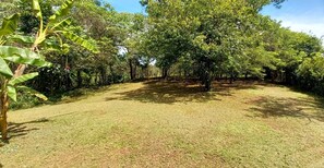 Une zone herbeuse avec des arbres et un ciel dégagé.