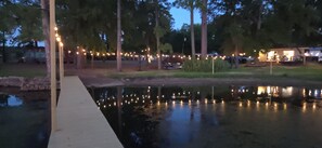 A pathway leading to a body of water with string lights along the edge.