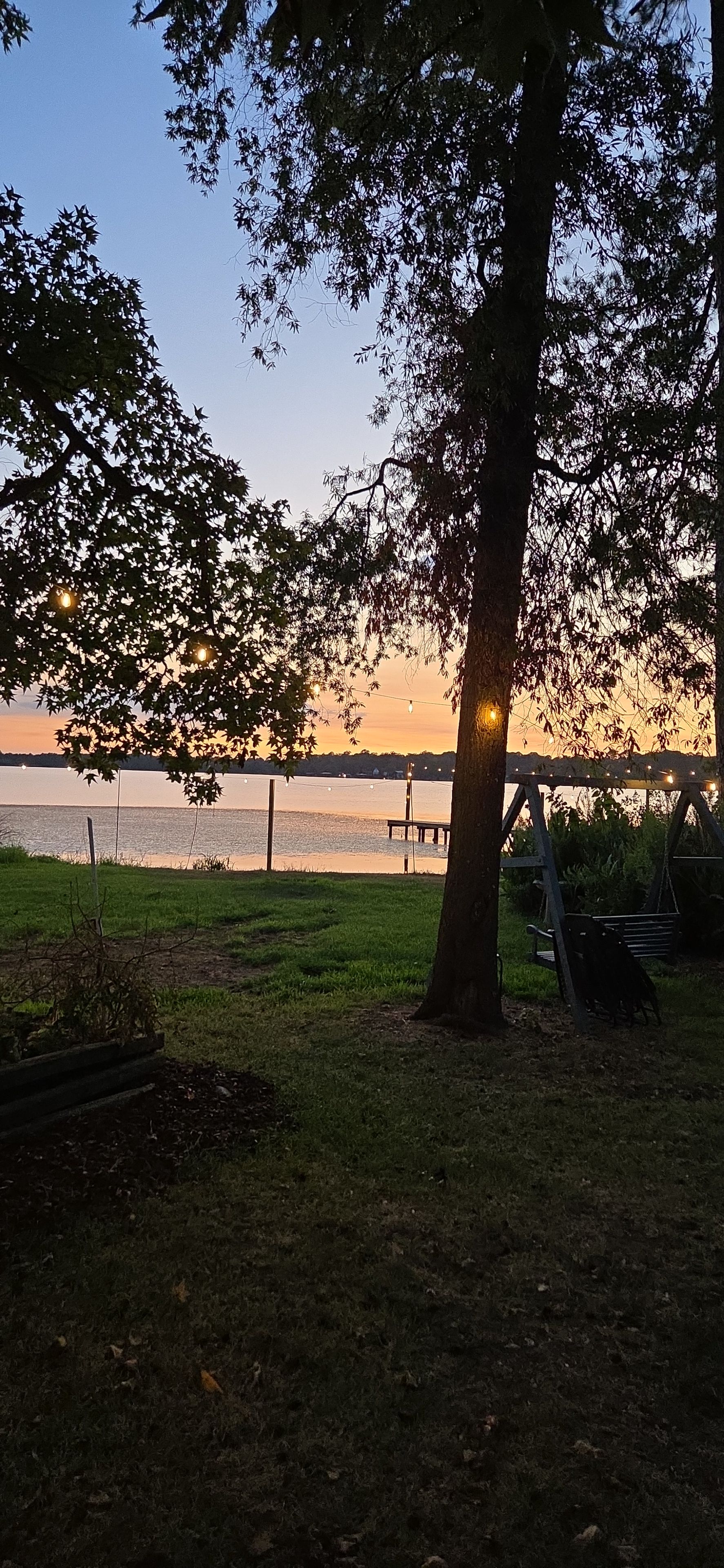 A park with a tree, a wooden bench, and a view of a body of water during sunset.