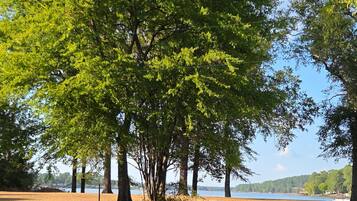 A park with a large tree in the foreground and a body of water in the background.