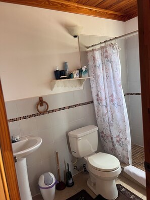 Ein Badezimmer mit Toilette, Waschbecken, Duschvorhang und einem Ablagefach für Toilettenartikel.
