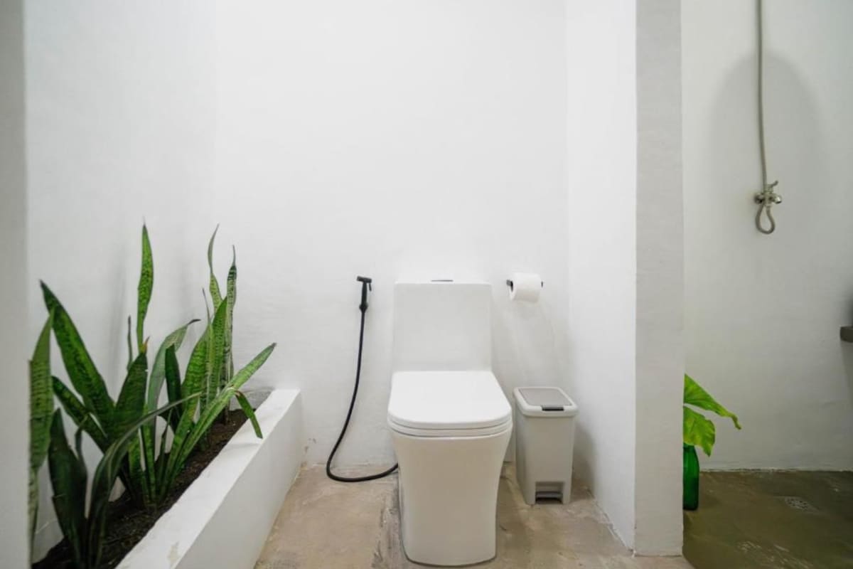 A small, white bathroom with a toilet, bidet, and a plant.