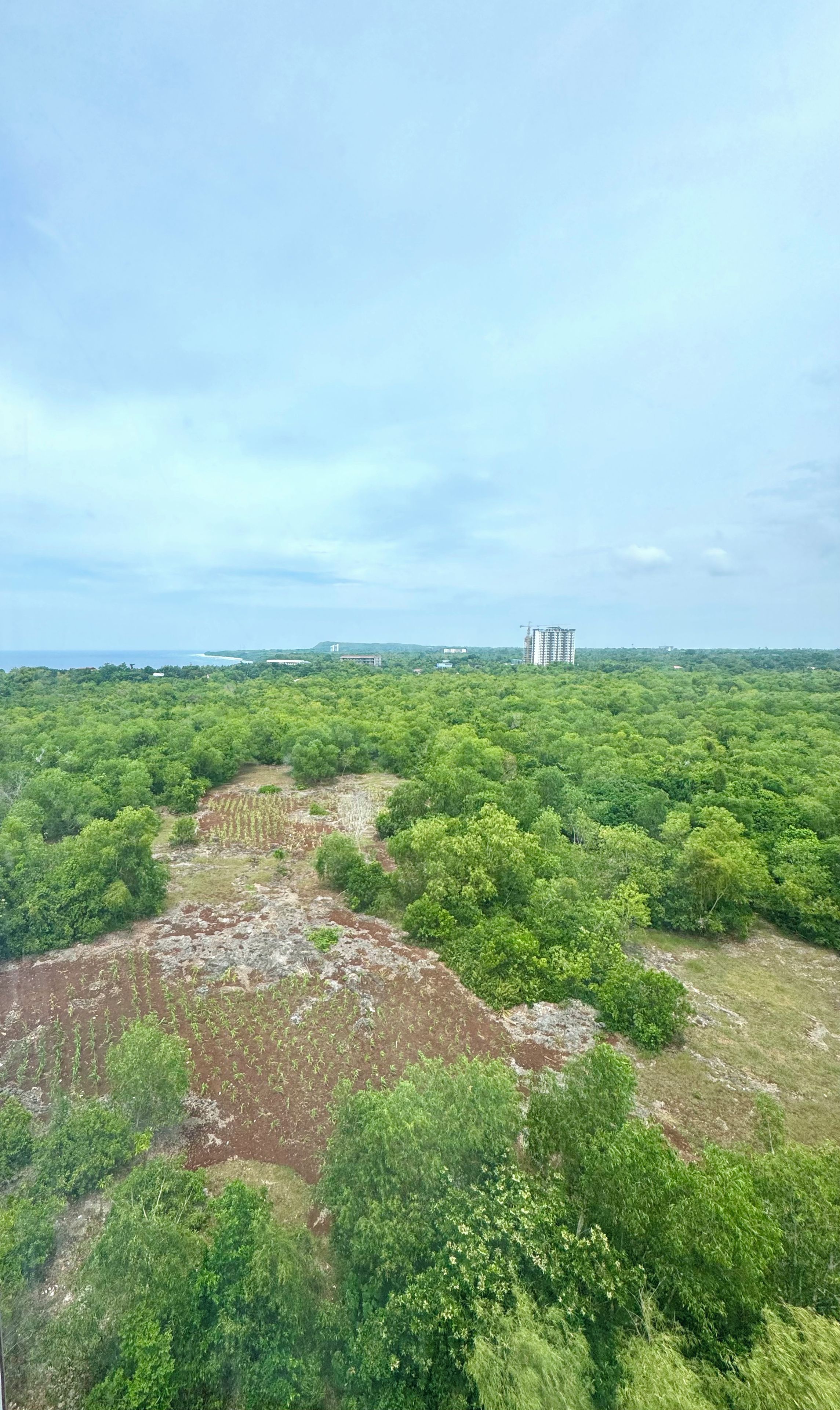 A landscape with dense greenery, a clear sky, and distant buildings.