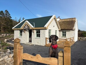 A house with a green roof, a wooden gate, and a dog standing in front. - Gorse Cottage Connemara | Wild Atlantic Way | Sleeps 4 | Pet Friendly (Cashel)