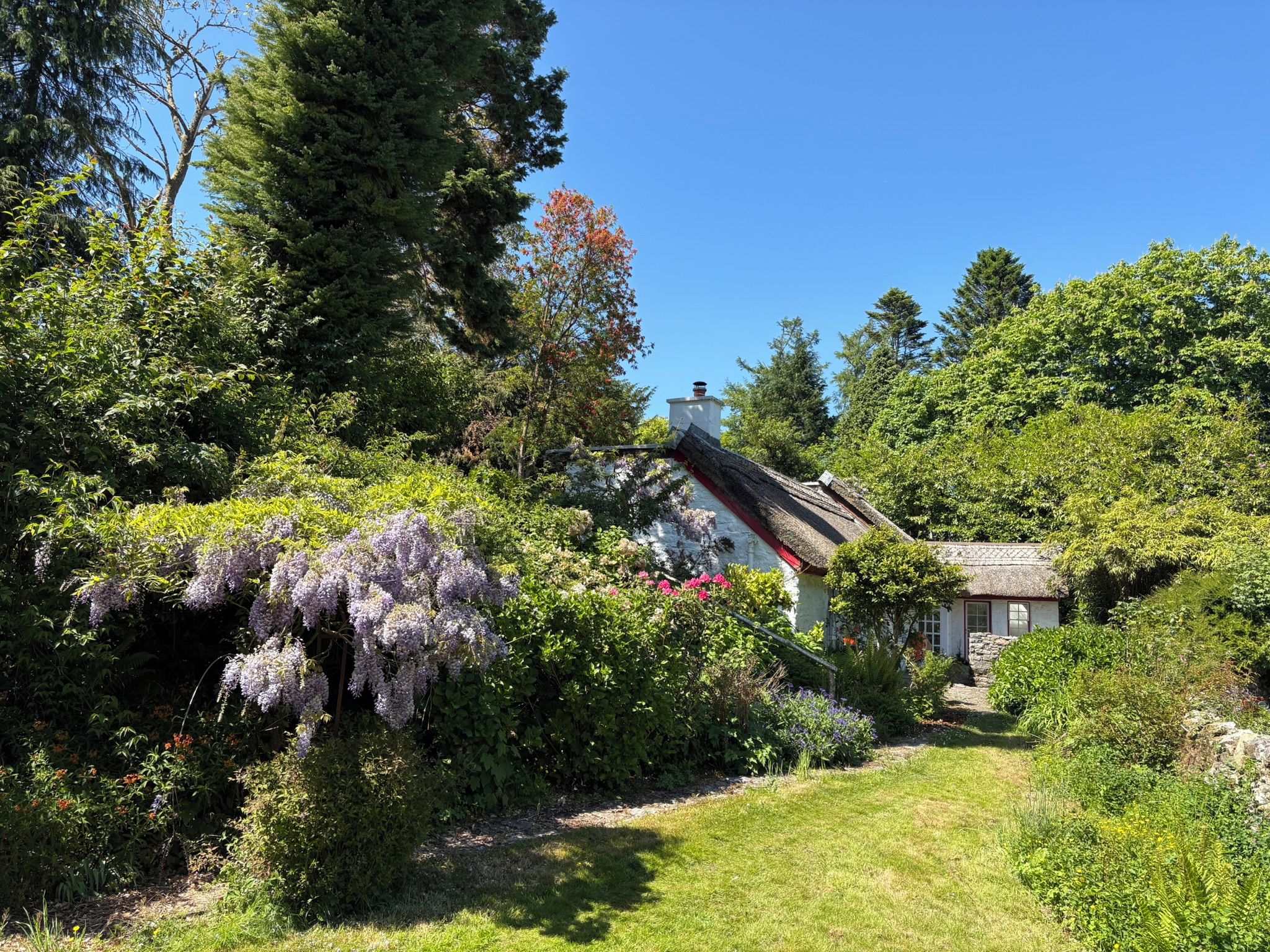 A traditional house with a thatched roof, surrounded by lush greenery and flowering plants.