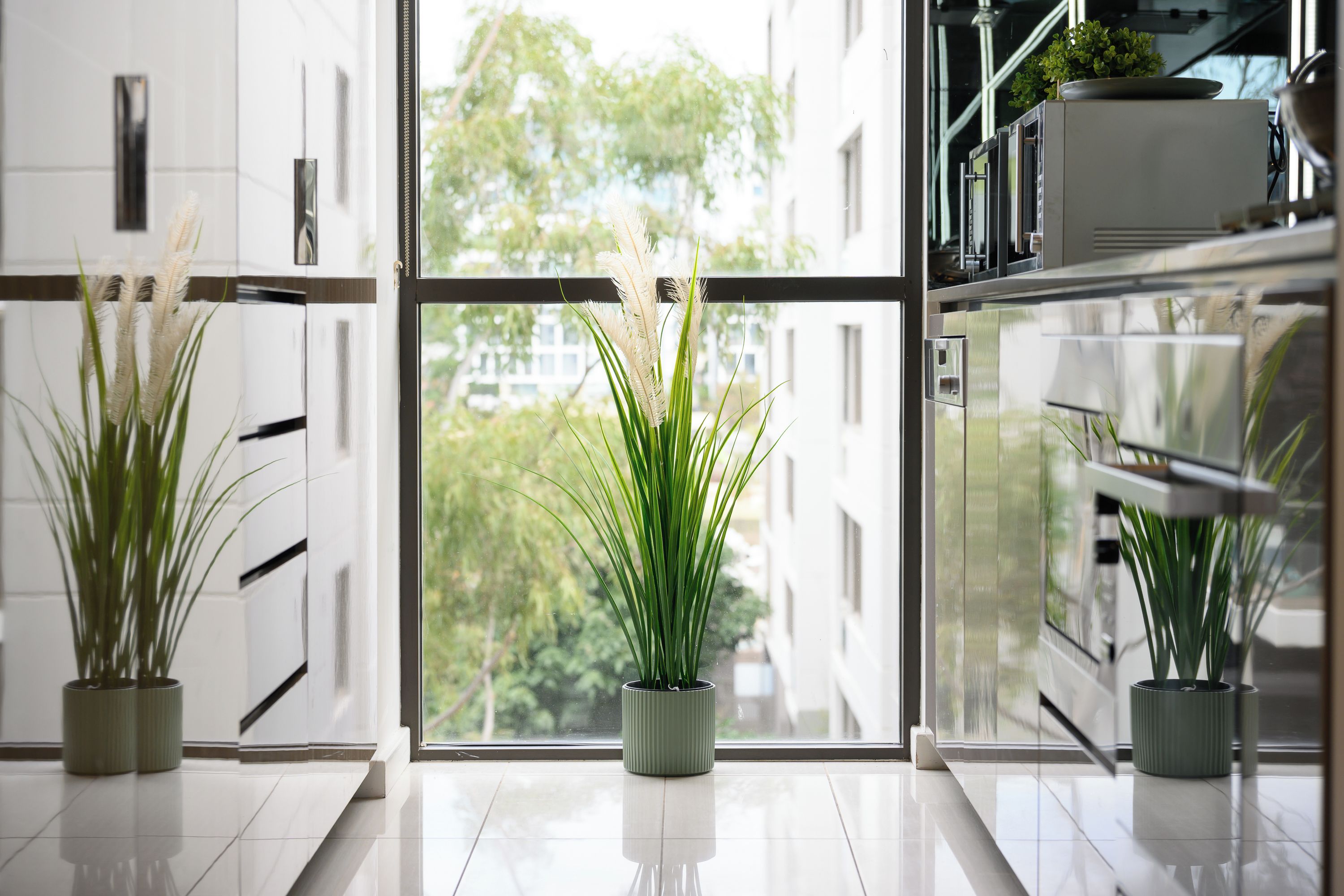 A modern kitchen with potted plants, a view of greenery outside, and a clean, reflective floor.