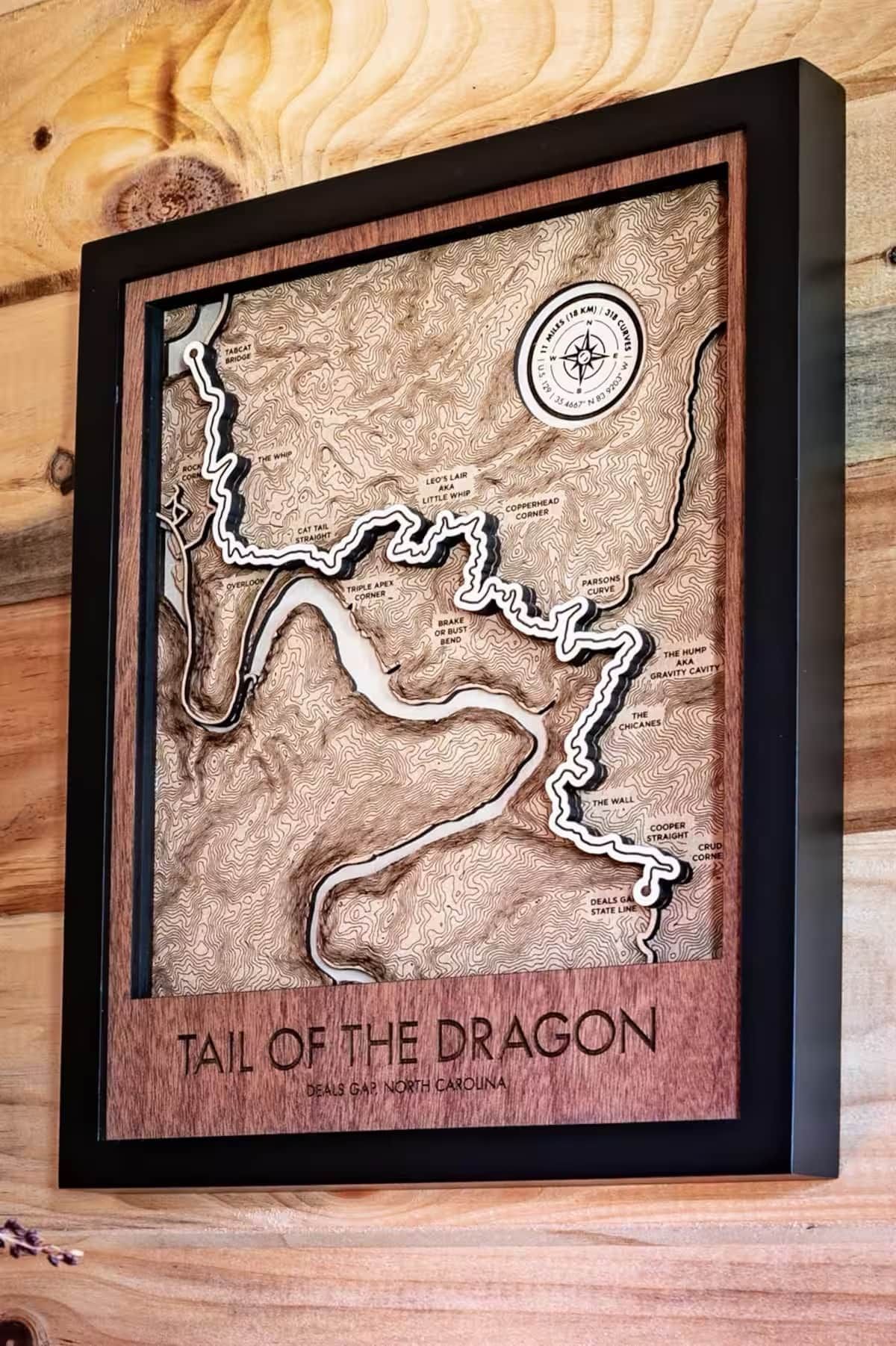 A framed topographic map titled 'TAIL OF THE DRAGON' with a compass rose and labeled trails.