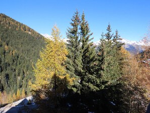 A mountainous landscape with evergreen trees and a clear sky. - Spacious apartment, pets welcome - 8 guests (Valfréjus)