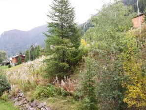 Eine gebirgige Landschaft mit einer Holzhütte und dichter Vegetation.