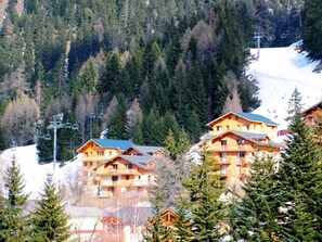 Eine Gruppe aus Holzchalets in den Bergen mit mehreren Balkonen, umgeben von dichtem Wald und schneebedeckten Hängen.